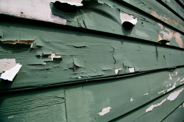 Best Siding Removal and Disposal  in La Harpe, IL